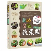 我的家庭蔬菜园(杯子花盆)卢璇叶菜芽菜简易种植方法阳台种菜家庭园艺书籍