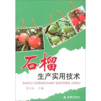 石榴生产实用技术9787508282237