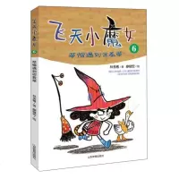 飞天小魔女69787532897018