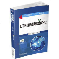 正版 LTE无线网络优化 丁胜高 机械工业出版社 9787111550693