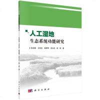 人工湿地生态系统功能研究 朱四喜等 9787030603470 科学出版社