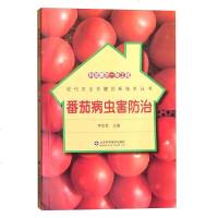 番茄病虫害防治