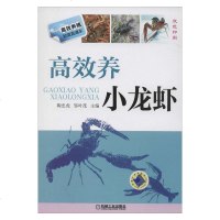 高效养小龙虾(双色印刷)