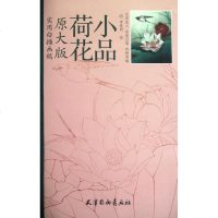 荷花小品李晓明