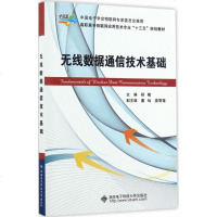 无线数据通信技术基础杨槐 主编