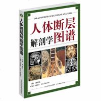 正版 人体断层解剖学图谱(精) CT人体断层局部解剖影像学 人体解剖学断面解剖学图谱 刘树伟主编 山