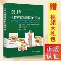 奈特人体神经解剖彩色图谱 奈特人体彩色解剖图谱 神经解剖 解剖学图谱 人体解剖书 医学 正版 人卫