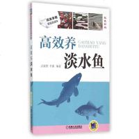 高效养淡水鱼(双色印刷) 高效养殖致富直通车 养鱼技术大全书籍 农业水产养殖书 高效养殖致富直通车系