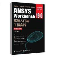 ANSYS Workbench 19.0基础入与工程实践 附教学视频 江民圣 软件的基本使用和操作