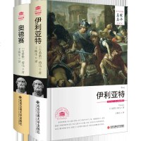 荷马史诗:奥德赛+伊利亚特(全译本)王焕生图书籍
