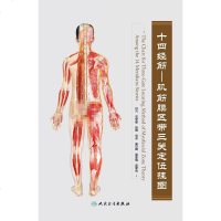 十四经筋—肌筋膜区带三关定位图解，吴汉卿 吴军瑞 吴军尚 编著 针灸 2017年8月参