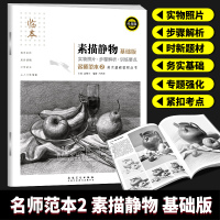 正版名师范本2素描静物基础版临本经典版美术基础教程入自学零基础高考艺术考试教材素描书铅笔画绘