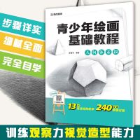 美术用品小学生青少年中学生绘画入画本素描自学零基础教程美术彩铅笔几何体素描图素描入临摹画册