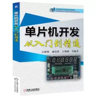 单片机开发从入到精通