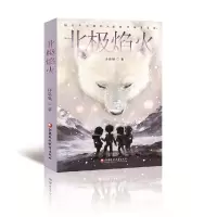 北极焰火