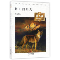 豺王白眉儿/沈石溪动物小说读书会