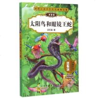 太阳鸟和眼镜王蛇(拼音版)/动物小说大王沈石溪精品集