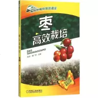 枣高效栽培书籍种植业正版枣高效栽培