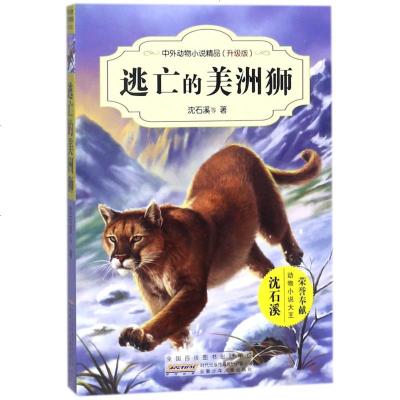 逃亡的美洲狮(升级版)/中外动物小说精品