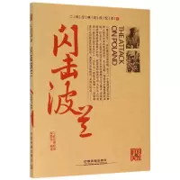 闪击波兰/时刻关注/二战经典战役纪实