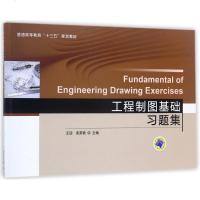 工程制图基础习题集/王迎书籍建筑工程正版