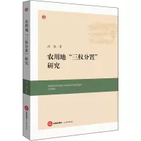 正版农用地“三权分置”研究高海著法律出版社9787519715939