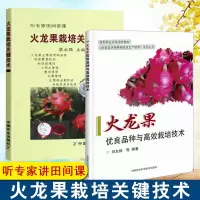[全2册]火龙果优良品种与高效栽培技术+火龙果栽培关键技术火龙果栽培种植技术大全火龙果树病虫害防