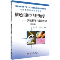 描述组织学与胚胎学——实验指导与彩色图谱(双语版)