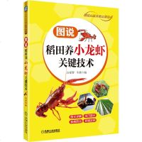 正版书籍图说稻田养小龙虾关键技术占家智羊茜龙虾养殖技术大全养龙虾技术小龙虾养殖技术养虾技术水产