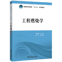 工程燃烧学9787512365889中国电力