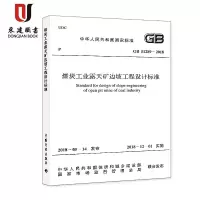 煤炭工业露天矿边坡工程设计标准GB51289-2018