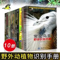 常见动植物野外识别书籍10册鸟类+植物+昆虫+蘑菇+蜘蛛+南方野花天牛蜗牛野外识别手册动植物科普书