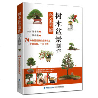 树木盆景制作完全图解盆景艺术造型图解制作树木盆景造型设计书栽培技术家庭园艺盆景盆栽书籍
