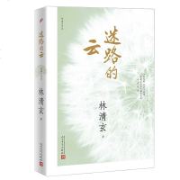 林清玄作品白雪少年/迷路的云/心海的消息/鸳鸯香炉/思想的天鹅等林清玄的书中国现当代文学散文书籍