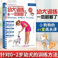 幼犬训练一本就够了凯拉桑德斯养狗训狗教程训犬书籍养狗书籍训练狗狗教程狗狗宠物书籍大全狗狗心