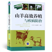 山羊高效养殖与疾病防治养羊技术大全书籍疾病诊断科学生态饲养养殖技术白山羊南方黑山羊羊