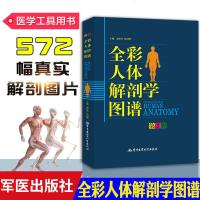 全彩人体解剖学图谱第2版中英双语人体结构全彩图集人体系统解剖学基础书籍人体解剖学教材医学