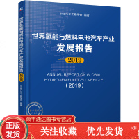 世界氢能与燃料电池汽车产业发展报告2019氢能与燃料电池汽车产业技术与经济性评估书籍