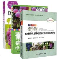 葡萄种植栽培技术书3本葡萄病虫害绿色防控彩色图谱+彩图版葡萄6叶剪梢2芽冬剪配套栽培新技术+图解南