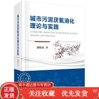 城市污泥厌氧消化理论与实践
