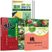 3册桃高效栽培技术+图说桃典型病虫害防治+图解桃树整形修剪桃树修剪书籍果树种植栽培技术水
