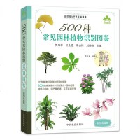 500种常见园林植物识别图鉴彩图典藏版景观园林植物图鉴常见园林树木识别植物分类与应用花草树