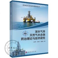 深水气井天然气水合物防治理论与技术研究