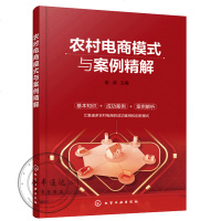 农村电商模式与案例精解农业经贸工商等大院校相关的师生以及电商培训机构教师学员农村电商研究