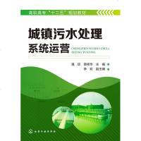 城镇污水处理系统运营