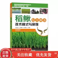 稻鳅综合种养技术模式与案例水稻栽培技术泥鳅养殖书籍稻鳅生养殖技术稻鳅混养模式水产品养殖大