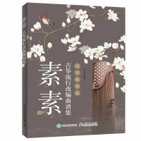 素素古筝流行改编曲谱集纯筝独奏版古筝入教材古筝书教材入书古筝谱曲谱流行歌曲古筝流行曲谱书2