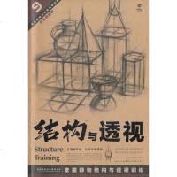 结构与透视9素描静物结构与透视训练黄金典藏版基础技基础素描教程书绘画入速成考试专用