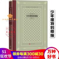 少年维特的烦恼(网格本)外国文学名著丛书歌德著杨武能译外国古典文艺理论丛书世界名著人民文学出版