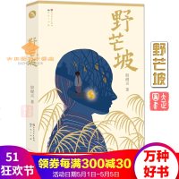 野芒坡殷健灵儿童文学长篇力作一个男孩在逆境中追求光明和梦想的成长励志故事一段独特历史的回顾
